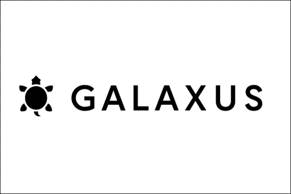 Logo: Galaxus